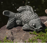 Photo of Campania Coy Koi - Exclusively Campania